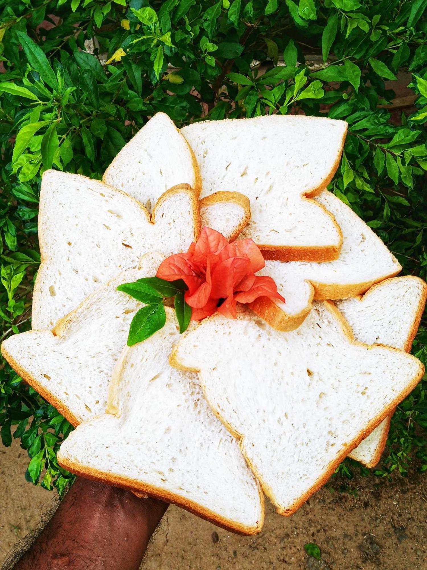 Bed and Breakfast Venora Hiriketiya Dickwella Zewnętrze zdjęcie